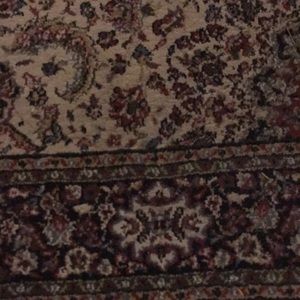 Meet your Posher, Shannon